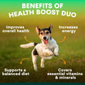Dog running on grass with text highlighting benefits of 'Health Boost Duo'
