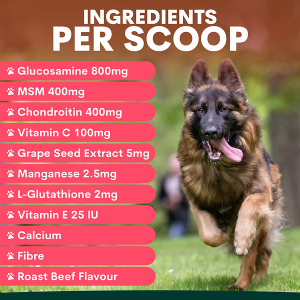 Dog running on grass with supplement ingredient list and flavor details on a brown background