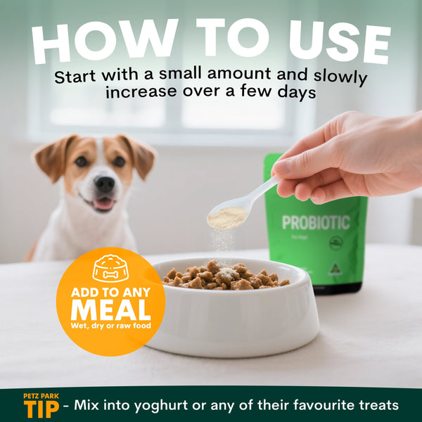 Dog being fed probiotic powder from a spoon with text on how to use it.