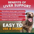 Advertisement for liver support with a dog and listed benefits on a red and green background