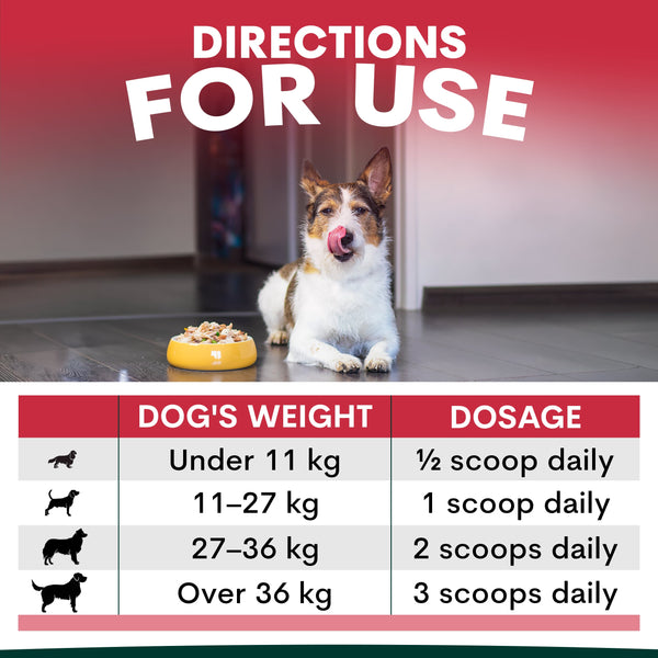 Dog sitting next to a bowl with a dosing chart for pet medication on a red background