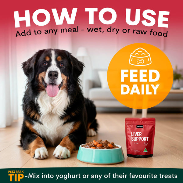 Dog sitting next to a bowl of food and a package labeled 'Liver Support' with text on how to use pet food.