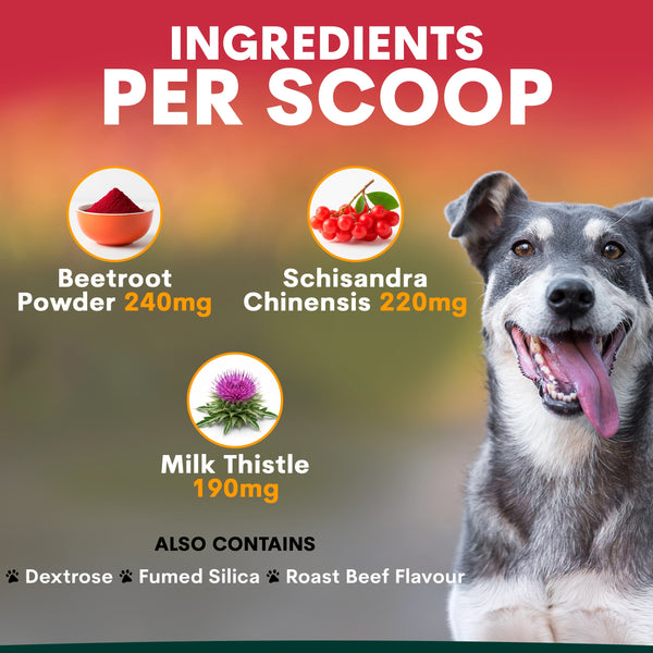 Dog with ingredients per scoop information on a colorful background