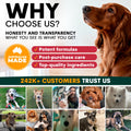 Promotional graphic for a pet product brand with a dog on the right side and text about honesty, transparency, and customer trust.