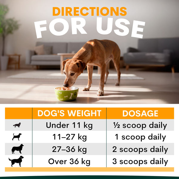 Dog eating from a bowl with dosing chart for pet medication on a living room floor.