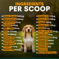 Multivitamin for Dogs