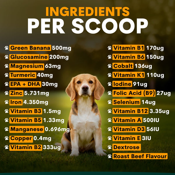 Multivitamin for Dogs