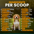 An ingredients list graphic titled 'INGREDIENTS PER SCOOP' on a dark blurred background, with a beagle dog centered between two columns of supplement ingredients and their amounts in micrograms or mg. The dog is not the product being sold here; this is informational packaging artwork.