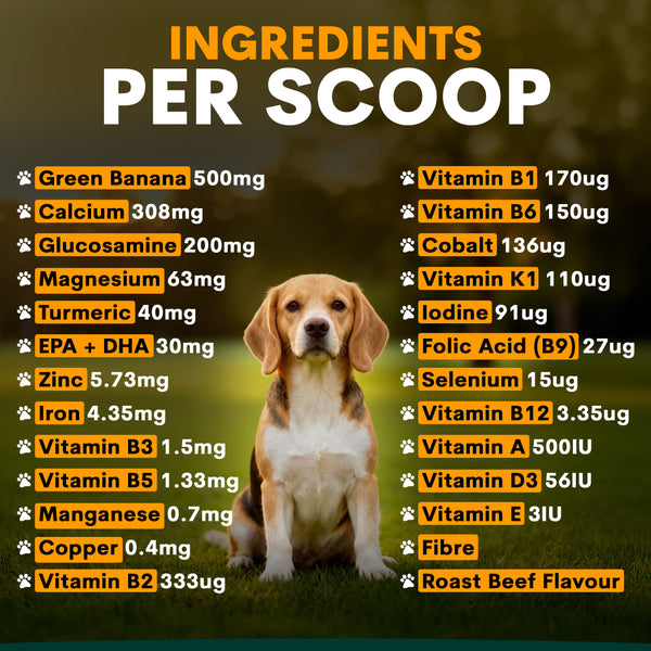 An ingredients list graphic titled 'INGREDIENTS PER SCOOP' on a dark blurred background, with a beagle dog centered between two columns of supplement ingredients and their amounts in micrograms or mg. The dog is not the product being sold here; this is informational packaging artwork.