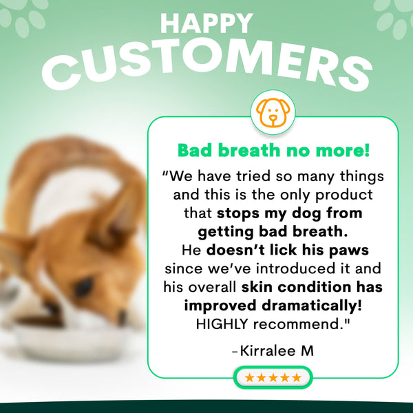 Petz Park Probiotic reviews
