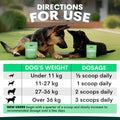 how much probiotic to use for dogs