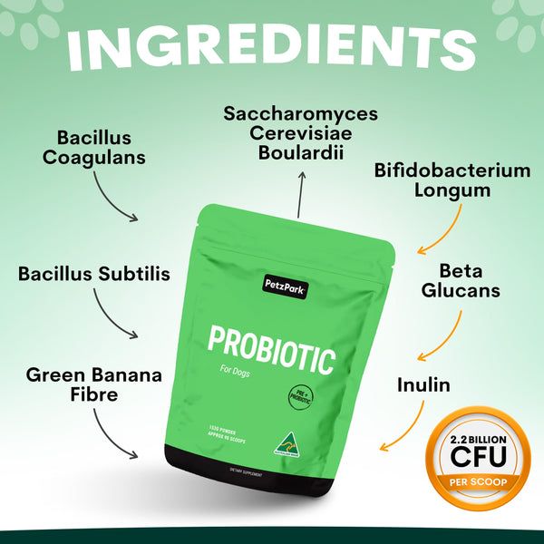 Green probiotic package with labeled ingredients on a green background. Probiotic for dogs ingredients