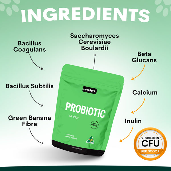 Green probiotic package for dogs with labeled ingredients on a green background