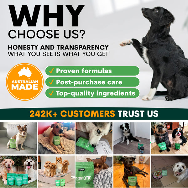 Promotional graphic for a pet product brand with text about honesty, transparency, and customer trust, featuring images of dogs with the product.