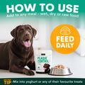 Dog with Plaque Control for dogs packaging and bowl of food on a white surface