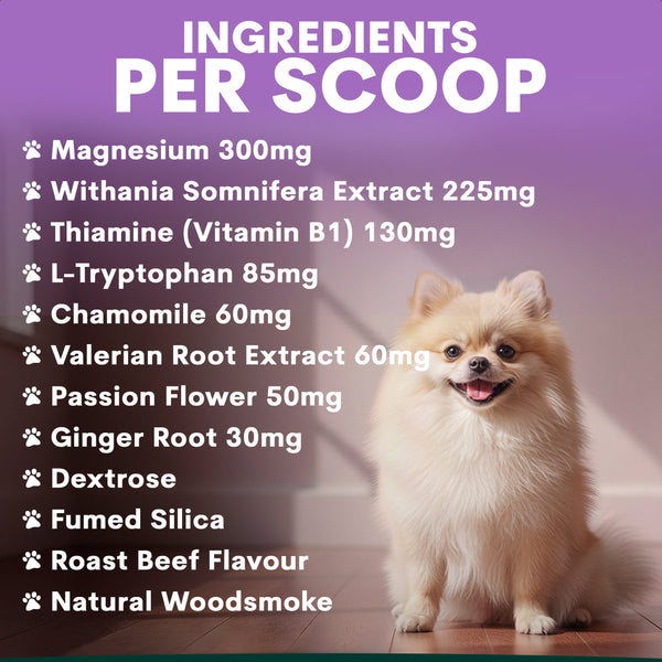 Small dog sitting on a wooden floor with a list of ingredients per scoop displayed on a purple background.