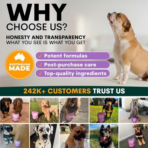 Promotional graphic for a pet product brand with images of dogs and text about honesty, transparency, and customer trust.