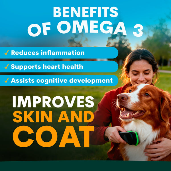 Woman petting a dog with text about omega-3 benefits on a blue and green background