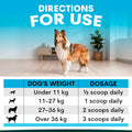 Dog standing in a room with a dosing chart for dogs on a blue background
