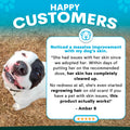 Dog with happy customers text and review on a grass background