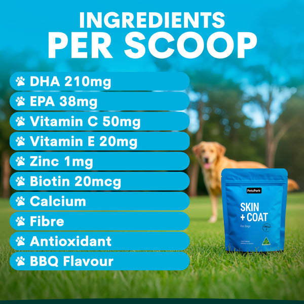 A blue stand-up pouch labeled Petz Park Skin + Coat for dogs sits on green grass with a golden retriever in the background. Large text at the top reads 'INGREDIENTS PER SCOOP' with a list of nutrients and flavors on blue bars.