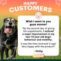 senior care supplements for dogs review