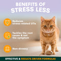 Cat standing on a carpet with text about stress relief benefits on a blurred background