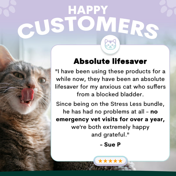 stress supplement for cats and urinary supplements review
