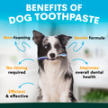 Dog with toothpaste on a blue background with text about the benefits of dog toothpaste.