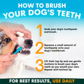 Instructions on how to brush a dog's teeth with a visual of a dog being brushed.