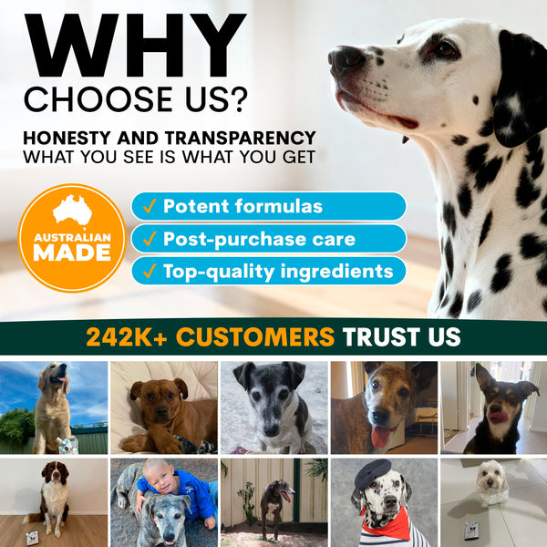 Promotional graphic for a pet product brand with a Dalmatian dog, text about honesty, transparency, and customer trust, and images of dogs and a baby with a dog.