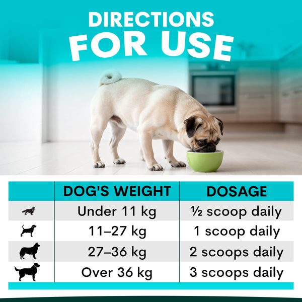 Dog eating from a bowl with dosage chart for different dog weights on a blue background