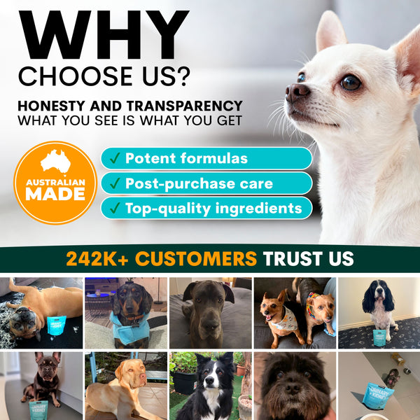 Promotional graphic for a pet product brand with a white dog, text about honesty, transparency, and customer trust, and images of dogs using the product.
