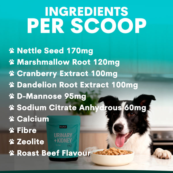 A teal bag of Urinary + Kidney food sits beside a bowl of kibble and a black-and-white dog in a kitchen setting, with large text reading 'INGREDIENTS PER SCOOP' and a list of ingredients including Nettle Seed, Marshmallow Root, Cranberry Extract, Dandelion Root Extract, D-Mannose, Sodium Citrate Anhydrous, Calcium, Fibre, Zeolite, and Roast Beef Flavour.
